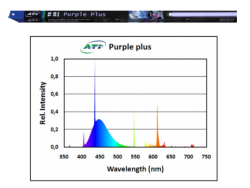 ATI- Purple Plus 39 Watt