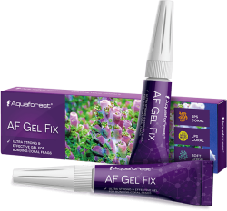 AF Gel Fix 2x20 g