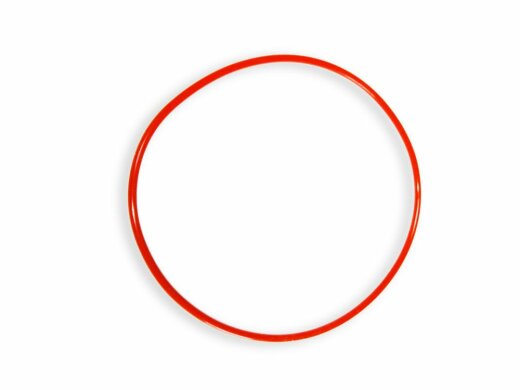 Dichtungsring 22 x 2mm