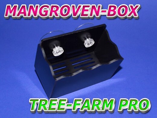 Mangrovenbox