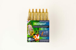 Prodibio BioDigest 6 Ampullen