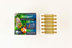 Prodibio BioDigest 30 Ampullen