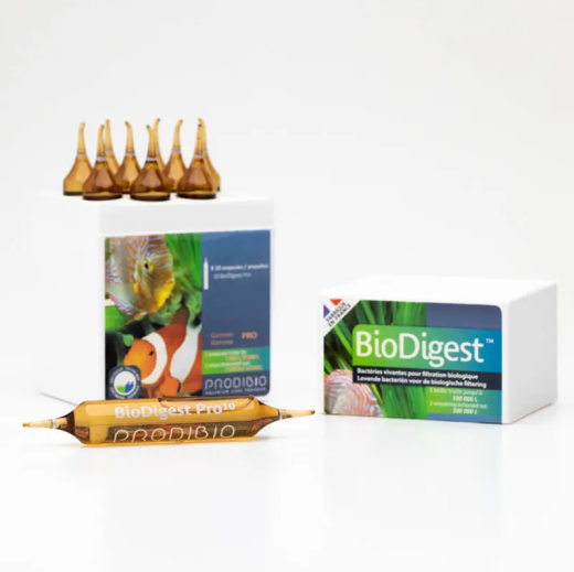 Prodibio BioDigest PRO 10 Ampullen