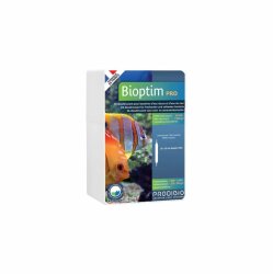 Prodibio Bioptim PRO 10 Ampullen