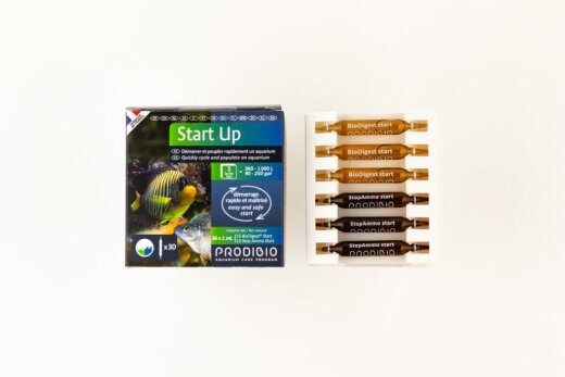 Prodibio Start up 30 Ampullen