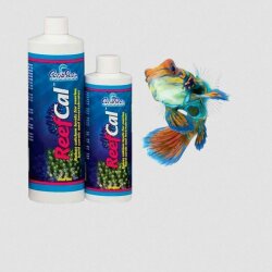 CaribSea ReefCal 237 ml