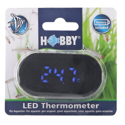 HOBBY LED Thermometer