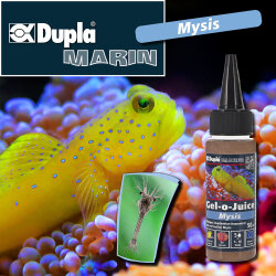 Gel-o-Juice Marine Mysis, 50 ml