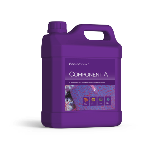 Component A 2000 ml