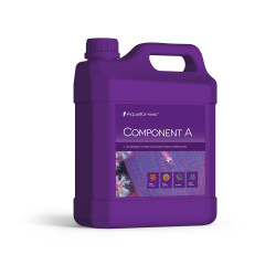 Component A 2000 ml