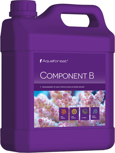 Component B 2000 ml