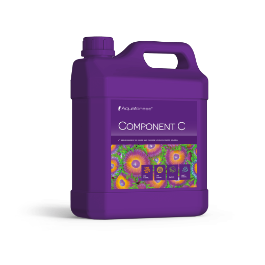 Component C 2000 ml