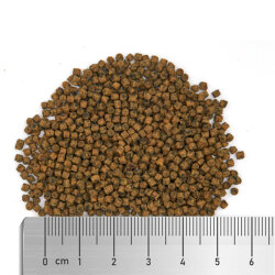 Soft Spirulina L - Alleinfutter für marine Zierfische - 150 g