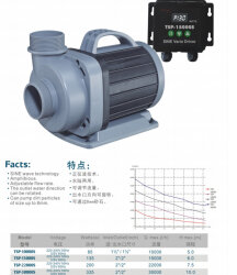 TSP 22000 S Teichpumpe