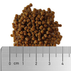 Soft Clownfish Food L - Clownfischfutter - 130 g