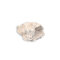 Anemonenhöhle S ca. 8 cm