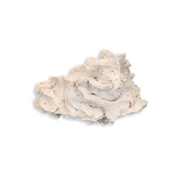 Anemonenhöhle M ca. 11 cm