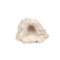 Anemonenhöhle M ca. 11 cm