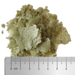 Veggie Flakes - Flockenfutter für herbivore Riffische - 30 g