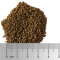 Soft Protect L - Zusatzfutter für marine Zierfische - 70 g