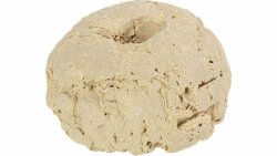 ARKA Riffkeramik Ablegerstein rund groß 10 Stück