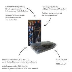 Schneckenplatte - Spezialdauerfutter - 23 g