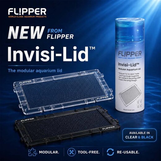Flipper Invisi-Lid Clear Small