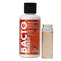 Bacto Energy - Nährkonzentrat -100 ml