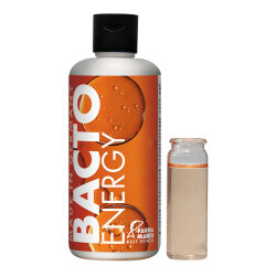 Bacto Energy - Nährkonzentrat - 250 ml