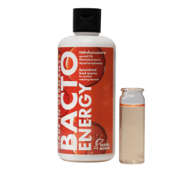 Bacto Energy - Nährkonzentrat - 250 ml