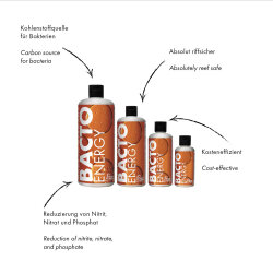 Bacto Energy - Nährkonzentrat - 250 ml