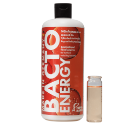 Bacto Energy - Nährkonzentrat - 500 ml