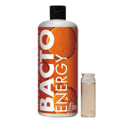 Bacto Energy - Nährkonzentrat -1000 ml