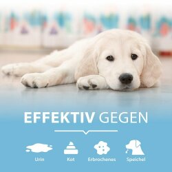 Pipi-Weg Urin- & Fleckenenterner Hund (100ml.)