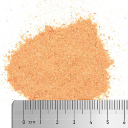 Coral Sprint - Langzeitspezialfutter für Korallen (SPS/LPS/NPS) - 70 g