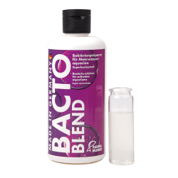 Bacto Blend - Riff Bakterien - 250 ml