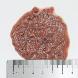 Arctic Plankton 100% natural 250 ml