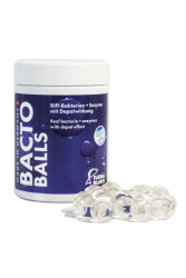 Bacto Balls - Bakterien Kugeln - 100 ml