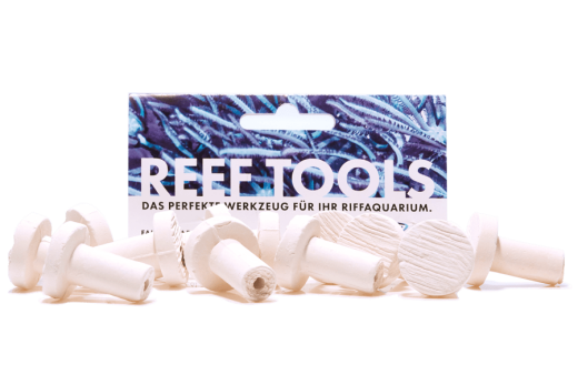 Reef Disc Mini 2,0 cm Ø - Mini Ablegersteine - 50stk / pcs