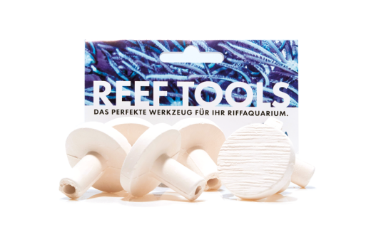 Reef Disc Maxi 3,3 cm Ø - Maxi Ablegersteine - 50stk / pcs