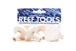 Reef Disc Maxi 3,3 cm Ø - Maxi Ablegersteine -...