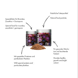 Coral Dust  - Spezialfutter für Ricordea, Zoanthus + Geniopora - 50 g