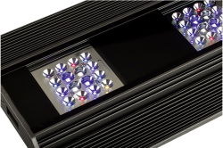 VIVA tropic - 150 Watt LED mit integrierter...