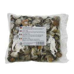 Muschelschalen / Shells / Coquillage  750g