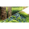 Fotorückwand-Zuschnitt Scaping Hill / Scaping Forest 100x50 cm, SB