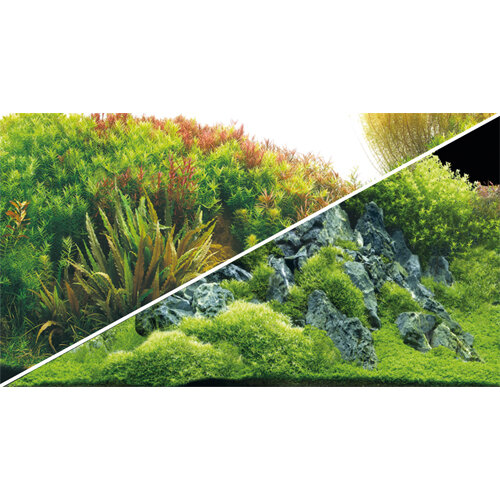 Fotorückwand Planted River / Green Rocks  0,50 x 25 m