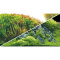 Fotorückwand Planted River / Green Rocks  0,50 x 25 m