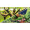 Fotorückwand-Zuschnitt Green Secret / Wood Island  60 x 30 cm, SB