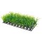 Plant Mat 3  25 x 12,5 cm, SB