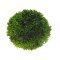 Plant Ball  9 cm